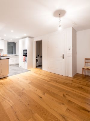 arento ag_nachhaltige architektur_Aufstockung Modernisierung MFH Stutz_Küche Waschen.jpg