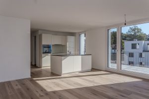 arento ag_nachhaltige architektur_Passivhaus Überbauung_Kochinsel.JPG