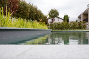 arento ag_nachhaltige architektur_Überbauung Blumenberg_Umgebung Pool 2.jpg